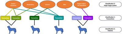 Patient weight has diverse effects on the prescribing of different antibiotics to dogs